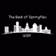Logo de The Beat of Springfield | WSPI.fm