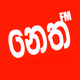 Logo de Neth FM
