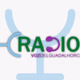 Logo de Radio Pizarra