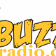 Logo de Buzz95