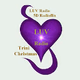 Logo de 5D Radioflix - LUV Radio Trini Christmas
