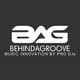 Logo de Behind A Groove