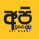 Logo de Api Dubai