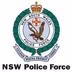 Logo de New Castle Fire and Police