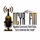 Logo de NGQELENI YOUTH COMMUNITY RADIO
