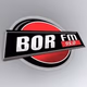 Logo de Bor FM