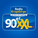 Logo de Radio Erzgebirge - 90erXXL