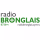 Logo de Radio Bronglais