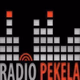 Logo de Radio-pekela
