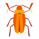 Logo de Radio Cuca
