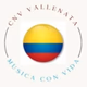 Logo de Cnv Radio - Cnv Vallenata
