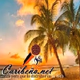 Logo de Sonido Clave Radio - Caribeña.net