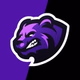 Logo de Vanisgaming Radio