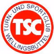 Logo de welle2