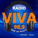 Logo de Radio Viva Pichanal