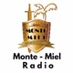 Logo de Monte MIel Radio