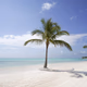 Logo de Punta Cana FM