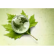 Logo de Radio Digital de Educación Ambiental