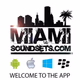 Logo de Miami SoundSets
