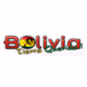 Logo de Bolivia Tierra Querida - Latinos