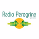 Logo de Radio Peregrina