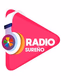 Logo de Radio DJ 105.1 fm