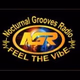 Logo de Nocturnal Grooves Radio
