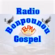 Logo de Radio Bonpounou Gospel