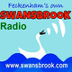 Logo de Swansbrook Radio