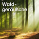 Logo de 104.6 RTL - Waldgeräusche