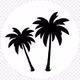Logo de Palm FM