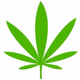Logo de donior420
