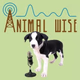 Logo de Animal Wise Radio