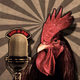 Logo de Radio el Mirador del Gallo