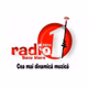 Logo de Radio Unu Satu Mare