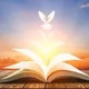 Logo de Holy Spirit