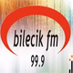 Logo de Bilecik FM