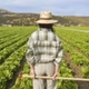 Logo de Radio Agricultor en Sintonia