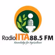 Logo de Radio IITA