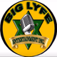Logo de Biglyfe Radio