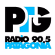 Logo de Radio Patagonia 90.5
