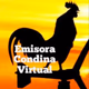 Logo de Condina Virtual Pereira