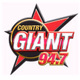 Logo de 94.7 The Country Giant - WGSQ
