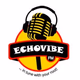 Logo de EchoVibeFM