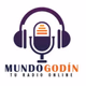 Logo de Mundo Godin