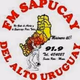 Logo de Sapucay FM 91.9