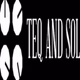 Logo de Teq and Sol