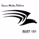 Logo de Gizmo - Buzzin Country 101