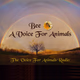 Logo de The Voice For Animals Radio