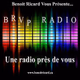 Logo de BRVP Radio Web